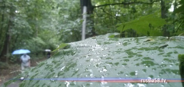 Фото: russia58.tv