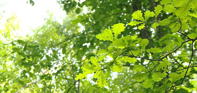 ����: russia58.tv