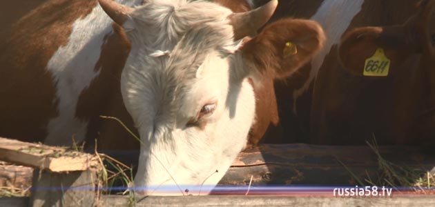  ���������� ������ ������� ���������� ������ ������ ������ 