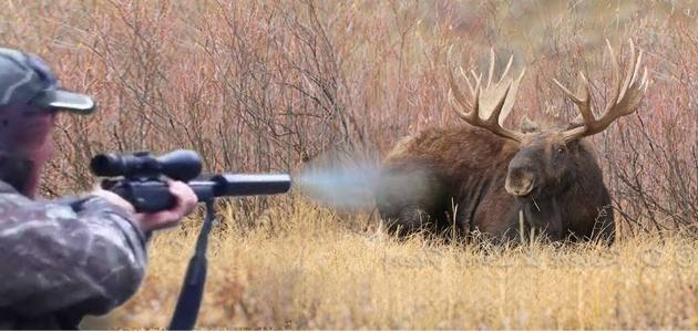 ����: russia58.tv