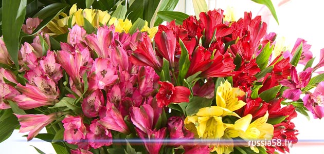 ����: russia58.tv