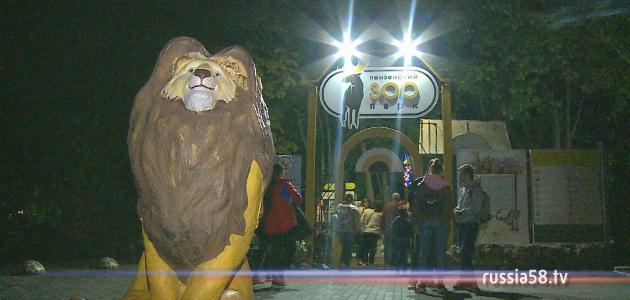 Фото: russia58.tv
