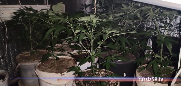 ����: russia58.tv