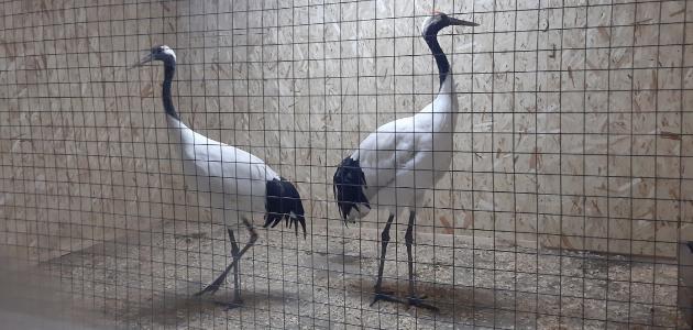 ����: russia58.tv