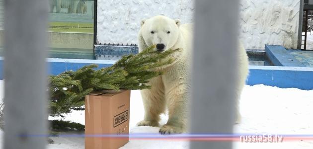 ����: russia58.tv