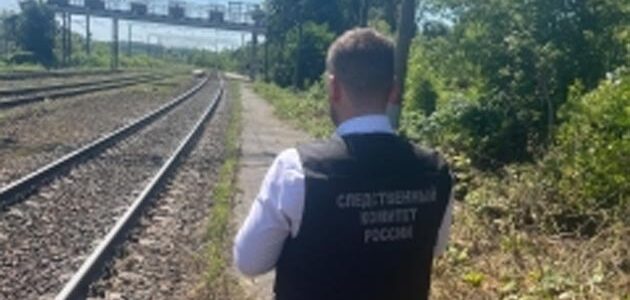  жительница лунинского района попала поезд 