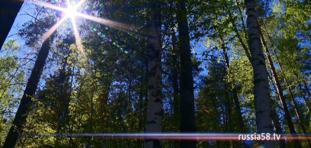 ����: russia58.tv
