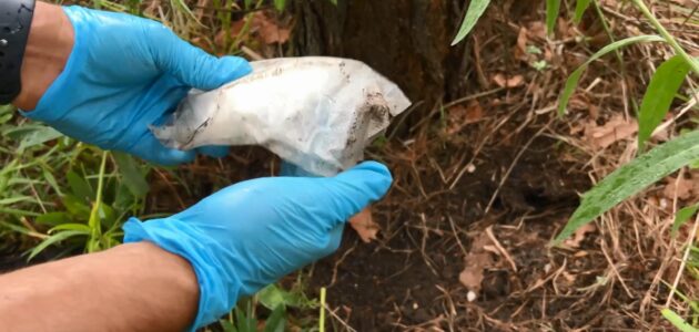 ����: russia58.tv