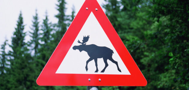 ����: russia58.tv