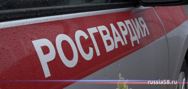 Фото: russia58.tv