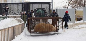 Фото пресс-службы Пензенского зоопарка