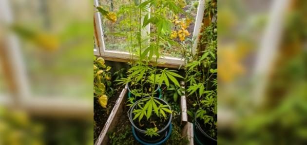 Фото УМВД России по Пензенской области