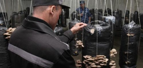 Фото УФСИН России по Пензенской области