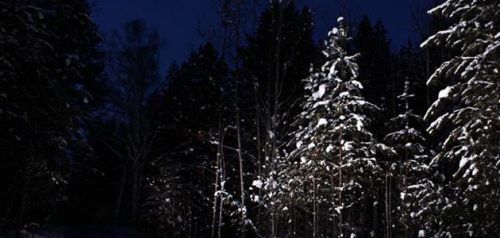 Фото Пензенского пожарно-спасательного центра