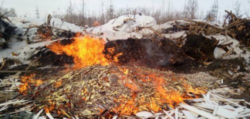 Фото исполкома ОНФ в Пензенской области