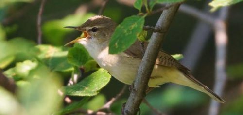 Фото Пензенского областного отделения РГО