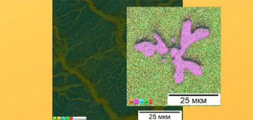 Изображение с сайта правительства Пензенской области