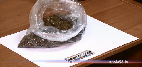 Фото УМВД России по Пензенской области