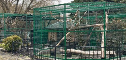 Фото Пензенского зоопарка