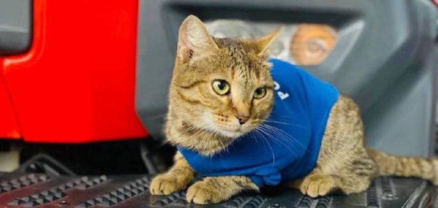 Фото ГУ МЧС по Пензенской области