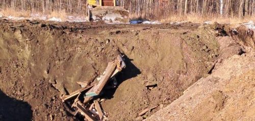 Фото министерства лесного, охотничьего хозяйства и природопользования Пензенской области