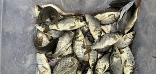 Фото министерства сельского хозяйства Пензенской области