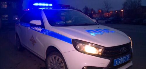 Фото УМВД России по Пензенской области