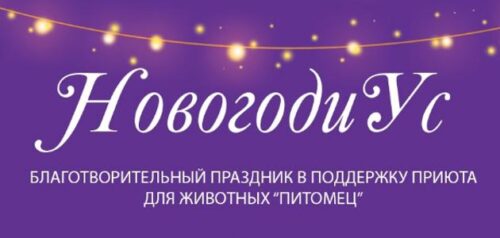 Фото Фонда "Рука помощи бездомным животным"