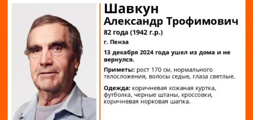 Фото Лиза Алерт в Пензенской области