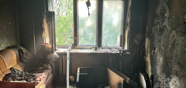 Фото ГУ МЧС России по Пензенской области
