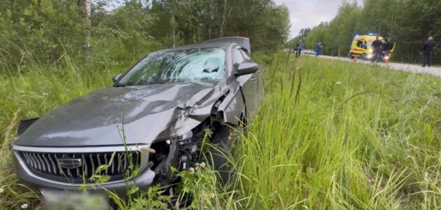 Фото Госавтоинспекции Пензенской области
