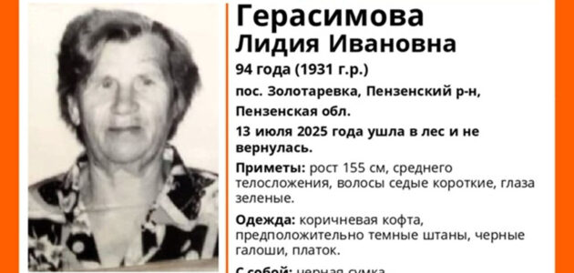 Фото пресс-службы поискового отряда "ЛизаАлерт"