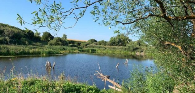 Фото СУ СКР по Пензенской области