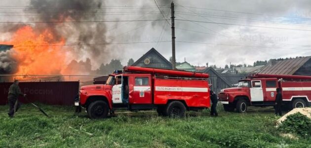 Фото ГУ МЧС России по Пензенской области