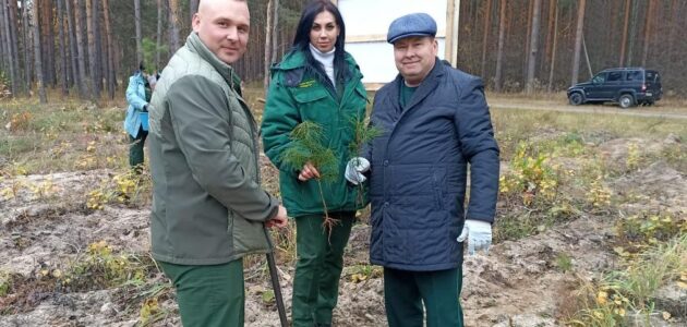 Фото министерства лесного, охотничьего хозяйства и природопользования Пензенской области