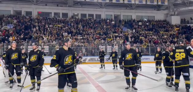 Фото ХК "Дизель"