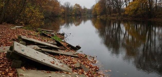 Фото министерства лесного, охотничьего хозяйства и природопользования Пензенской области