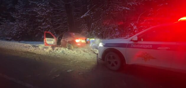 Фото Госавтоинспекции Пензенской области