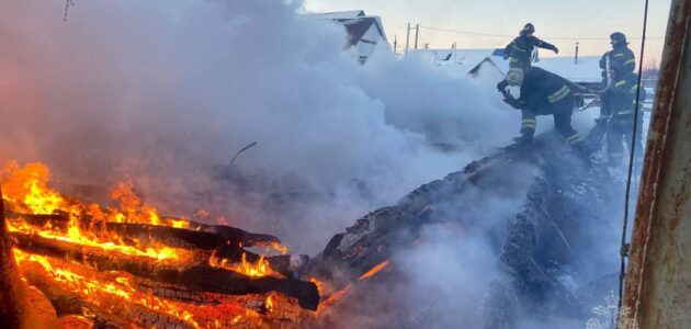 Фото ГУ МЧС России по Пензенской области