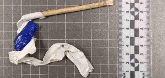 Фото ЛО МВД России по Пензенской области