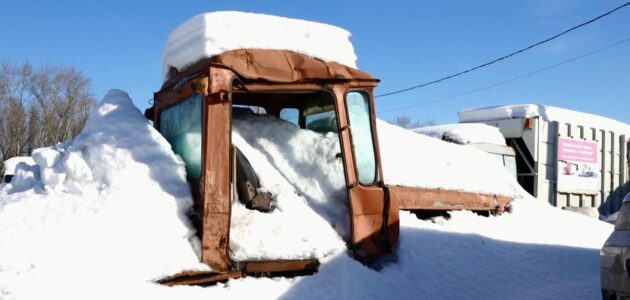 Фото УМВД России по Пензенской области