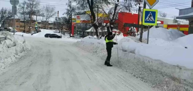 Фото Госавтоинспекции Пензенской области