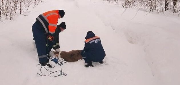 Фото Пензенского пожарно-спасательного центра