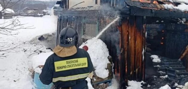 Фото Пензенского пожарно-спасательного центра
