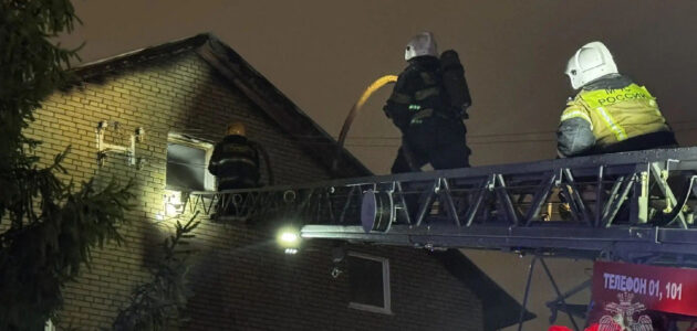 Фото ГУ МЧС России по Пензенской области