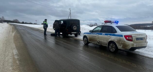 Фото Госавтоинспекции Пензенской области