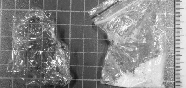 Фото Пензенского ЛО МВД России на транспорте