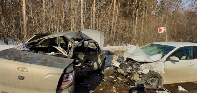 Фото пензенской Госавтоинспекции