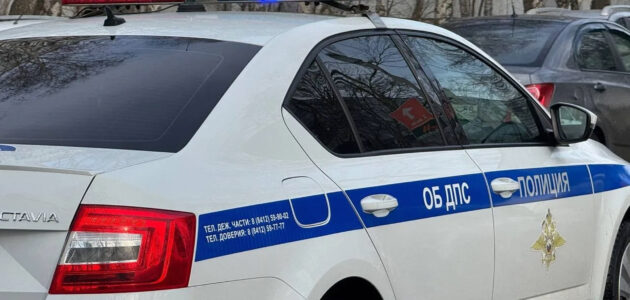 Фото пензенской Госавтоинспекции