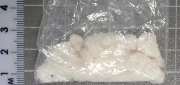 Фото ЛО МВД России по Пензенской области